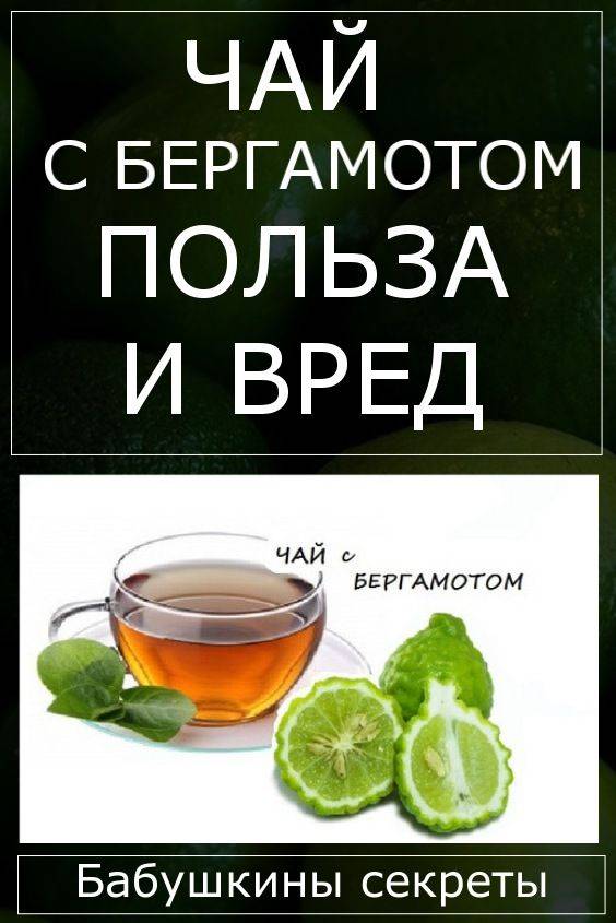 Чай с бергамотом: полезные свойства и возможный вред | польза и вред