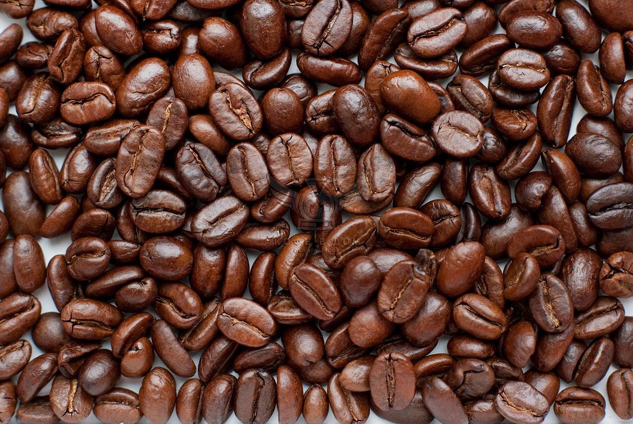 Бразильский кофе: виды, сорта и характеристики