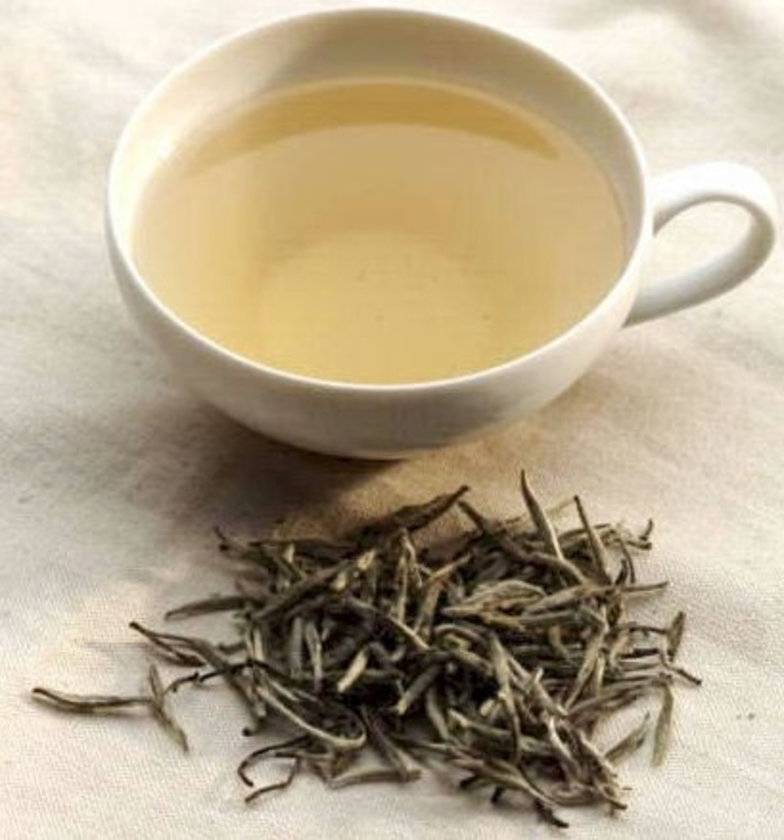 Белый чай: его польза и вред