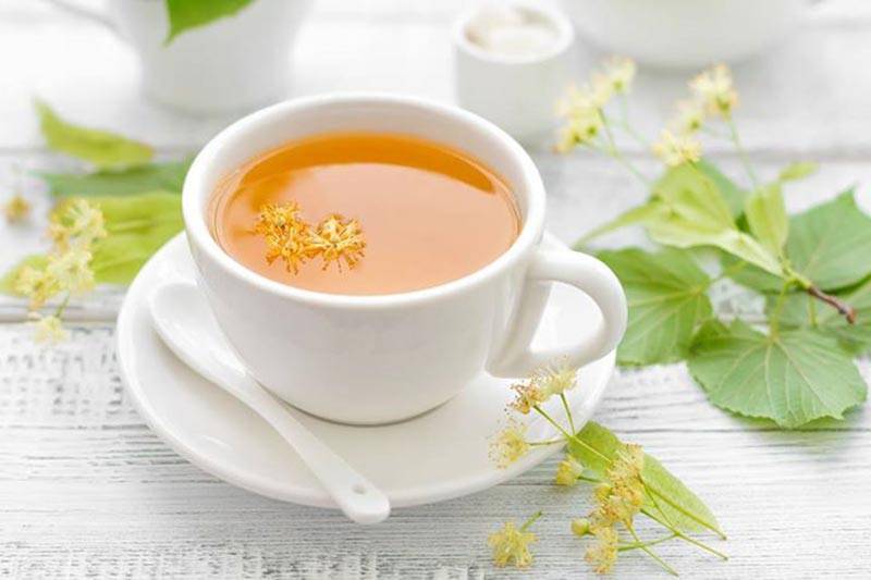 Липовый чай: полезные и лечебные свойства, противопоказания, как выбрать и приготовить
