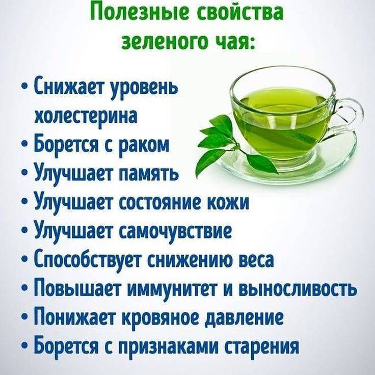 Вред и польза зеленого чая для мужчин