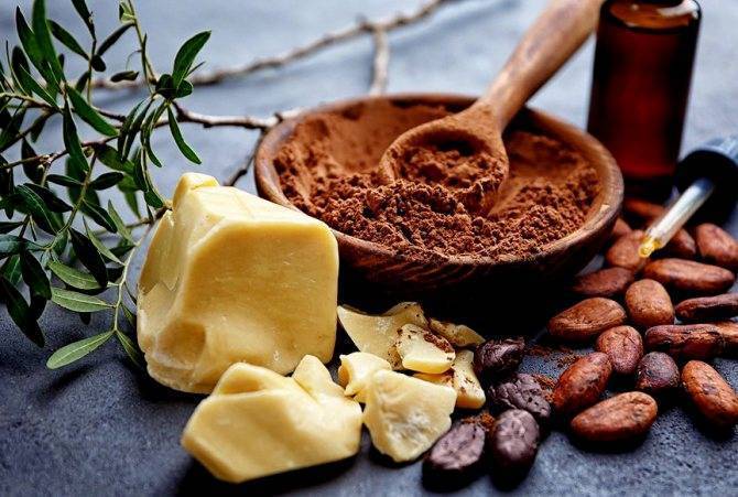 Свойства и применение масла какао в косметических целях