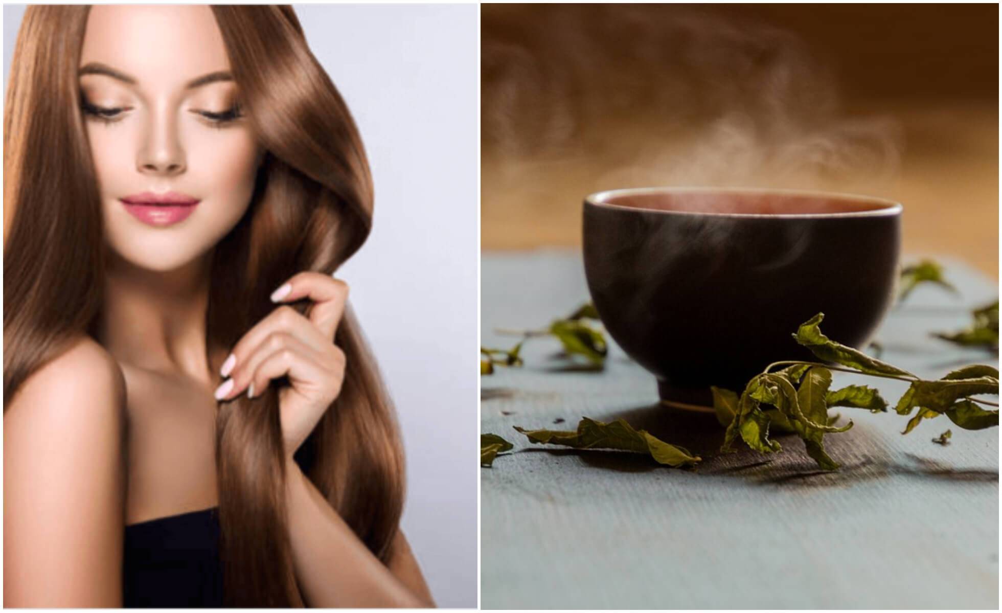 Отвар чая для волос. черный и зеленый чай для волос – правила ополаскивания.