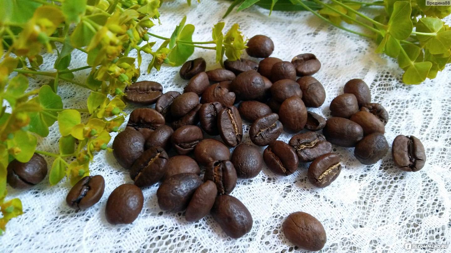 Родина кофе - какая страна является родиной кофейного дерева?