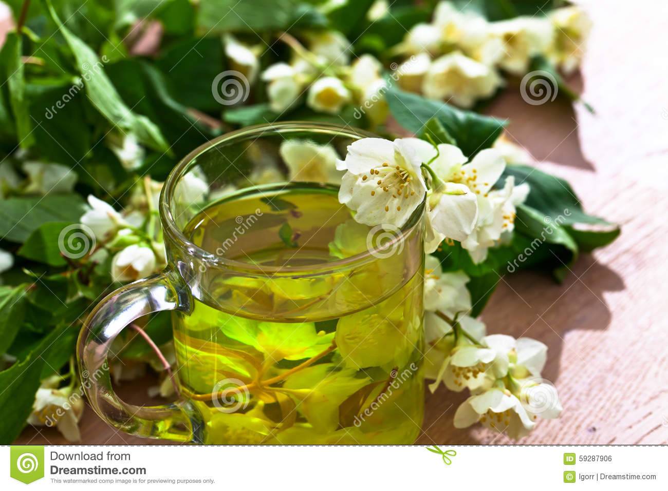 Как сушить жасмин для чая: что собирать, польза и вред цветов, заготовка