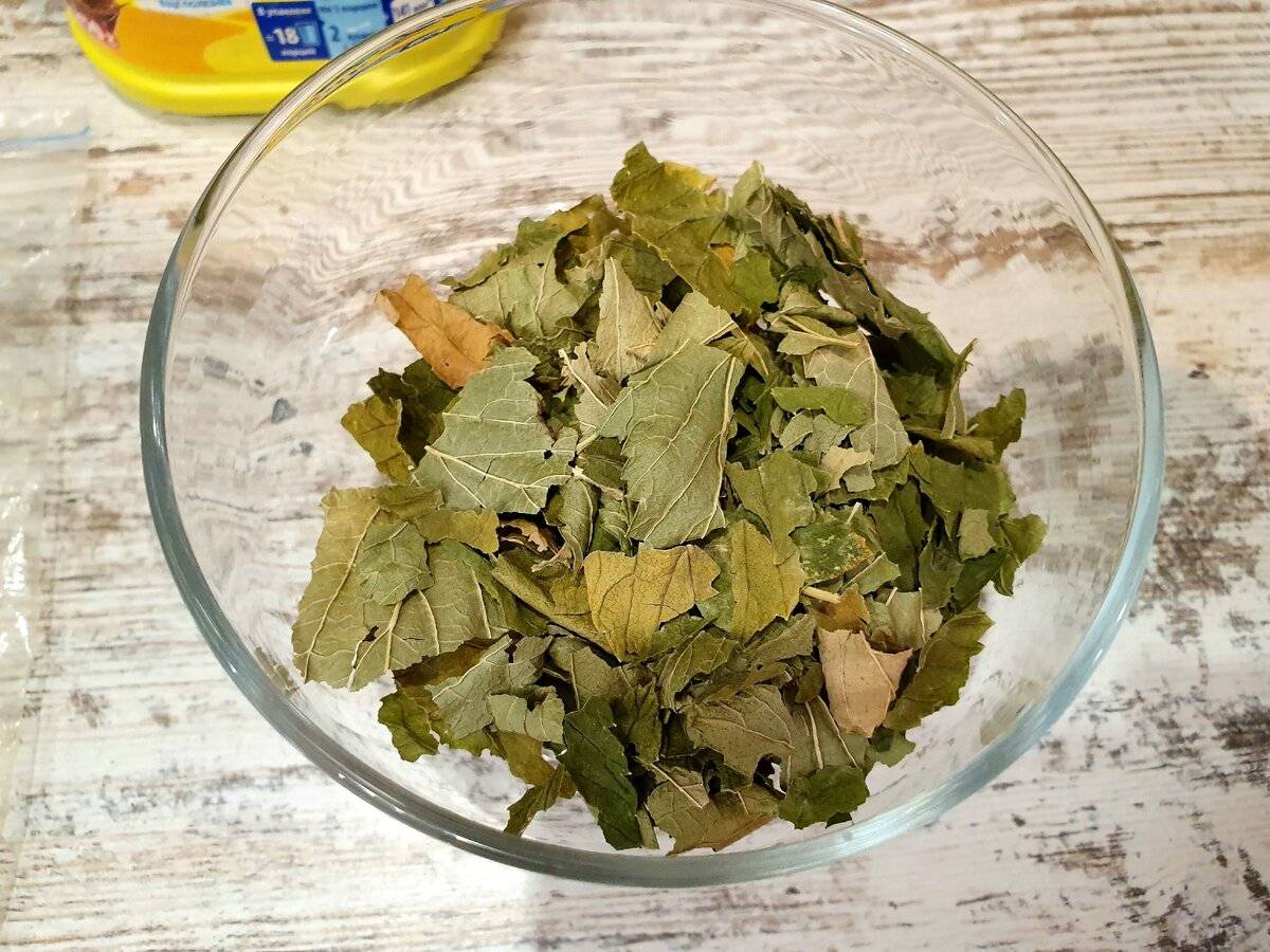 Ферментация листьев смородины для чая в домашних условиях, как ферментировать смородиновые листочки, как хранить готовый ферментированный чай