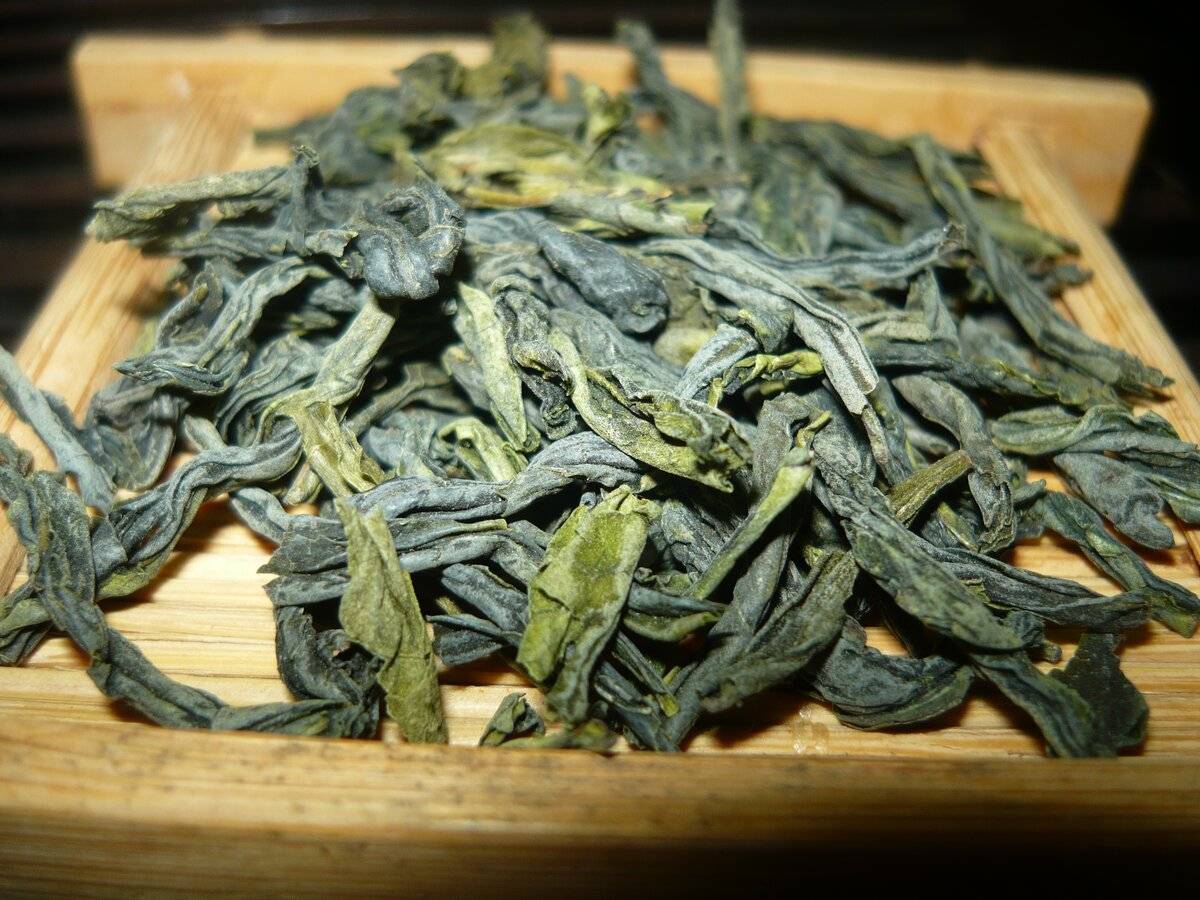 Сорта чая. улунский чай. фуцзянь, уишань - teaterra | teaterra
