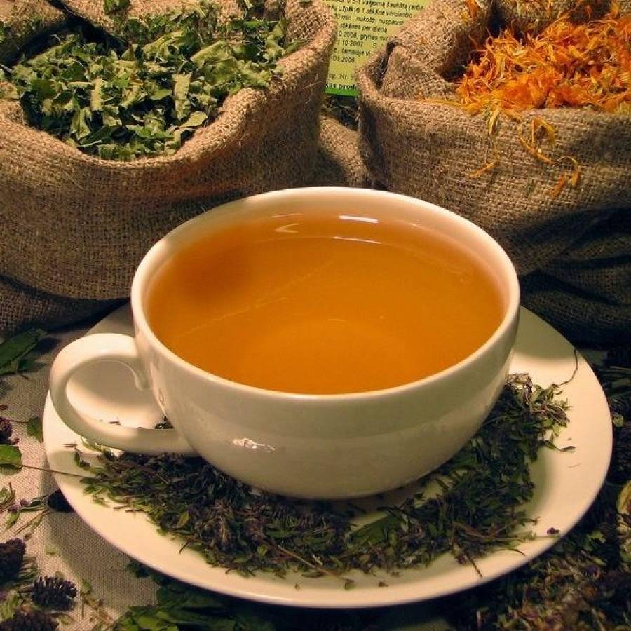 Как приготовить чай для похудения в домашних условиях?