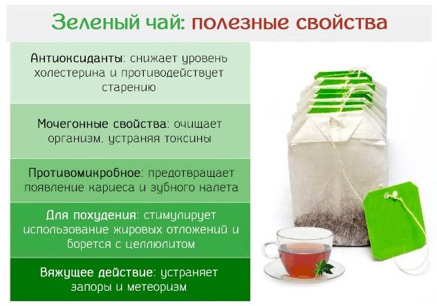 Зеленый чай: почему его стоит пить каждый день: новости, чай, напиток, приготовление, польза, здоровье, красота и здоровье
