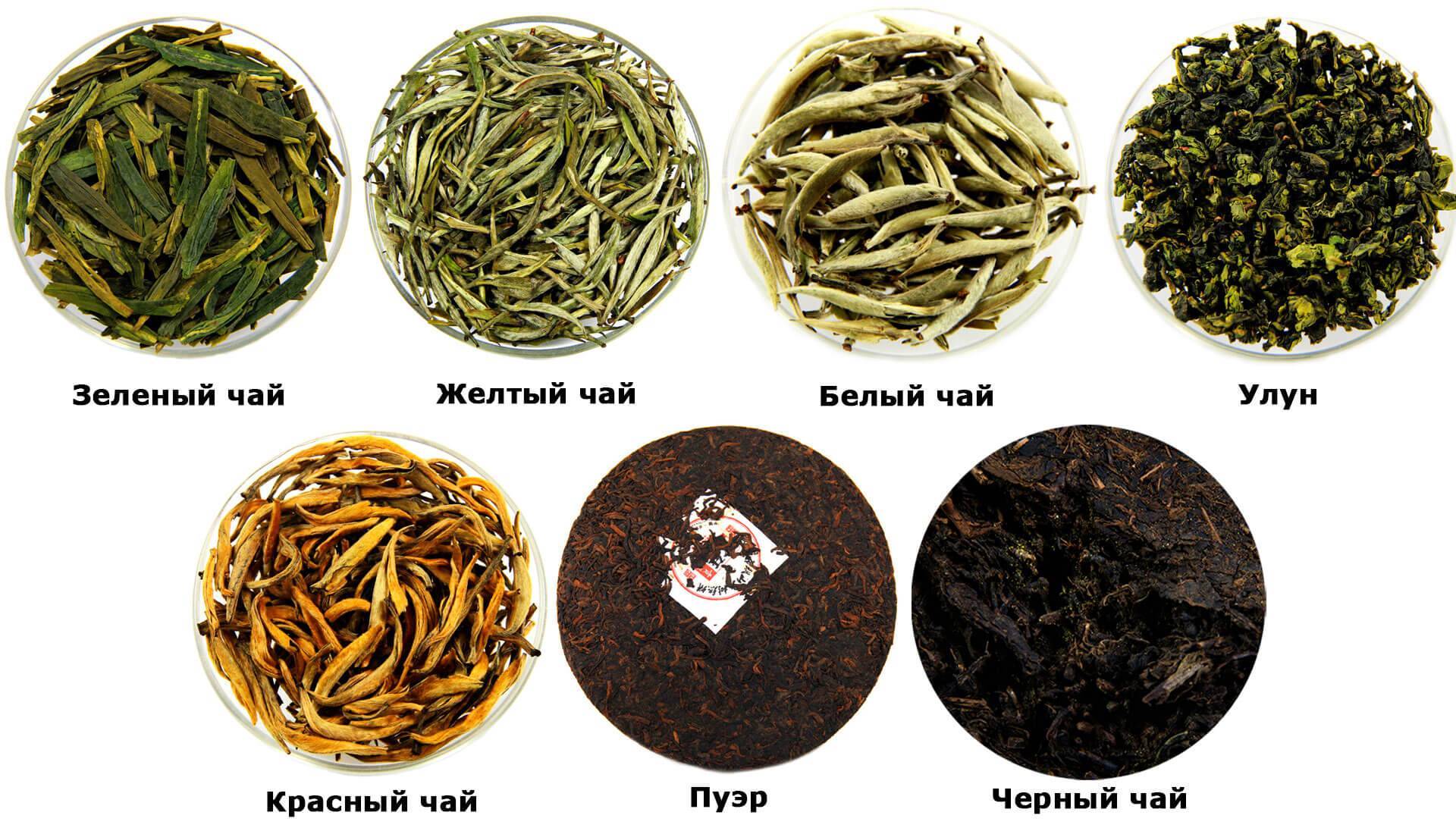 Чай: полезные свойства и разновидности | food and health
