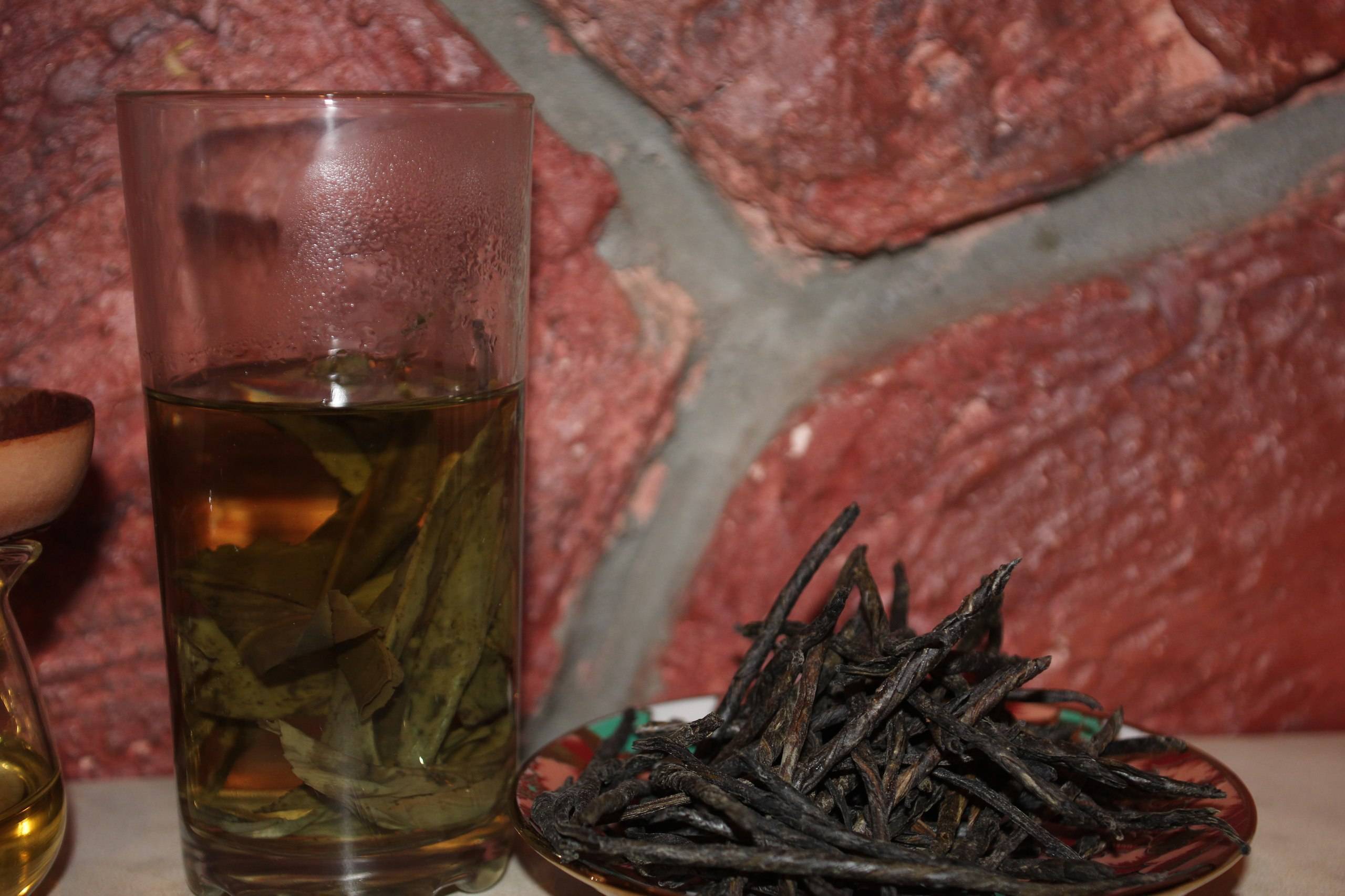 Кудин чай: полезные свойства, противопоказания, советы, фото