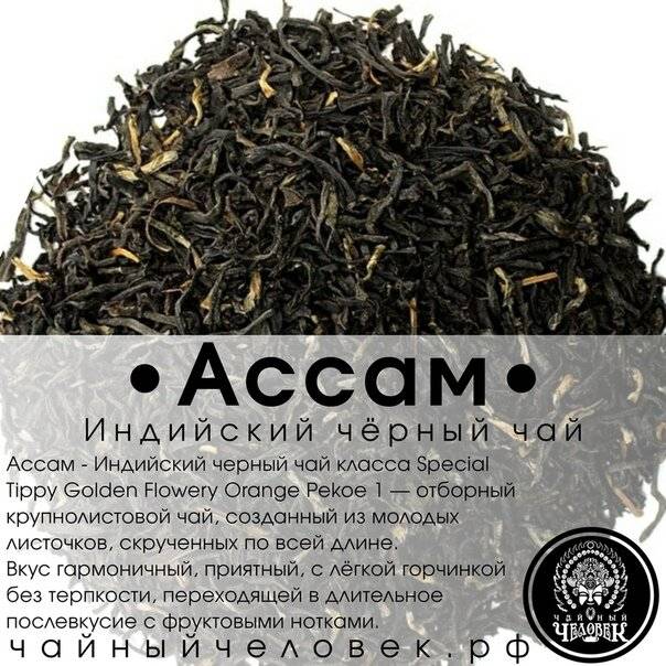Чай «ассам»: сорта и секреты приготовления напитка