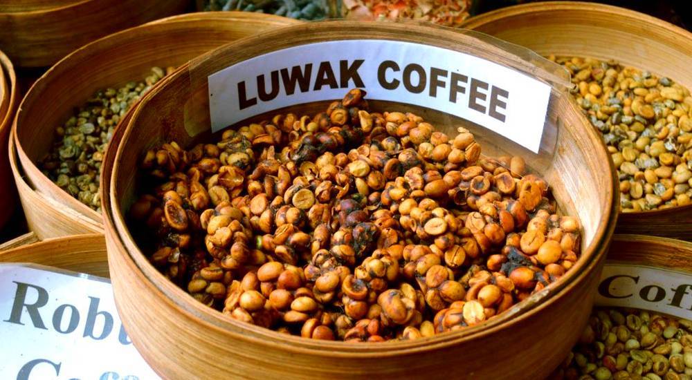 Какие лучшие и самые дорогие сорта кофе в мире? | coffee break