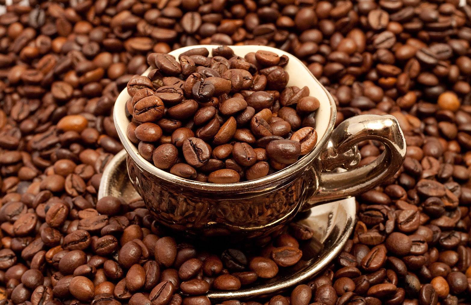 Как приготовить кофе - самые популярные способы