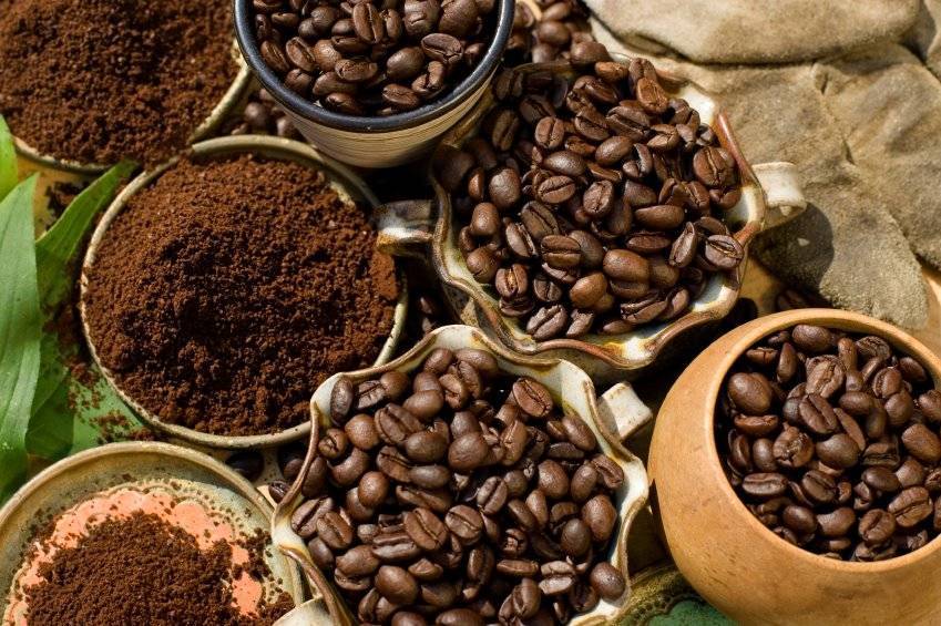 Растет ли кофе в турции: какие есть виды, популярные марки, какой купить в зернах и молотый