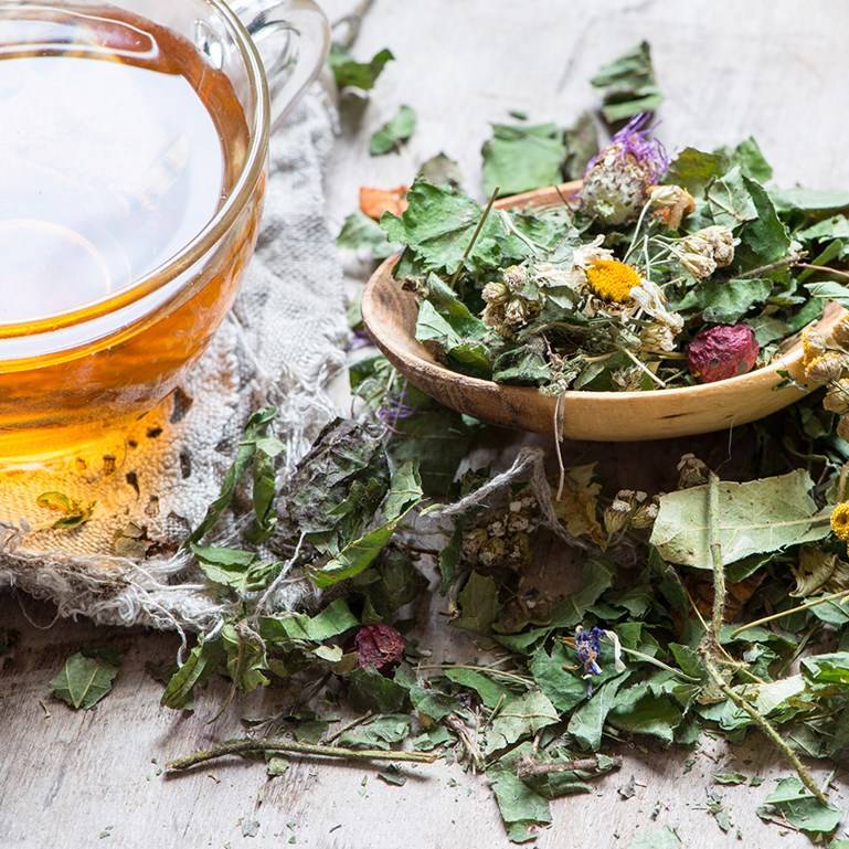 Чай с базиликом:полезные рецепты