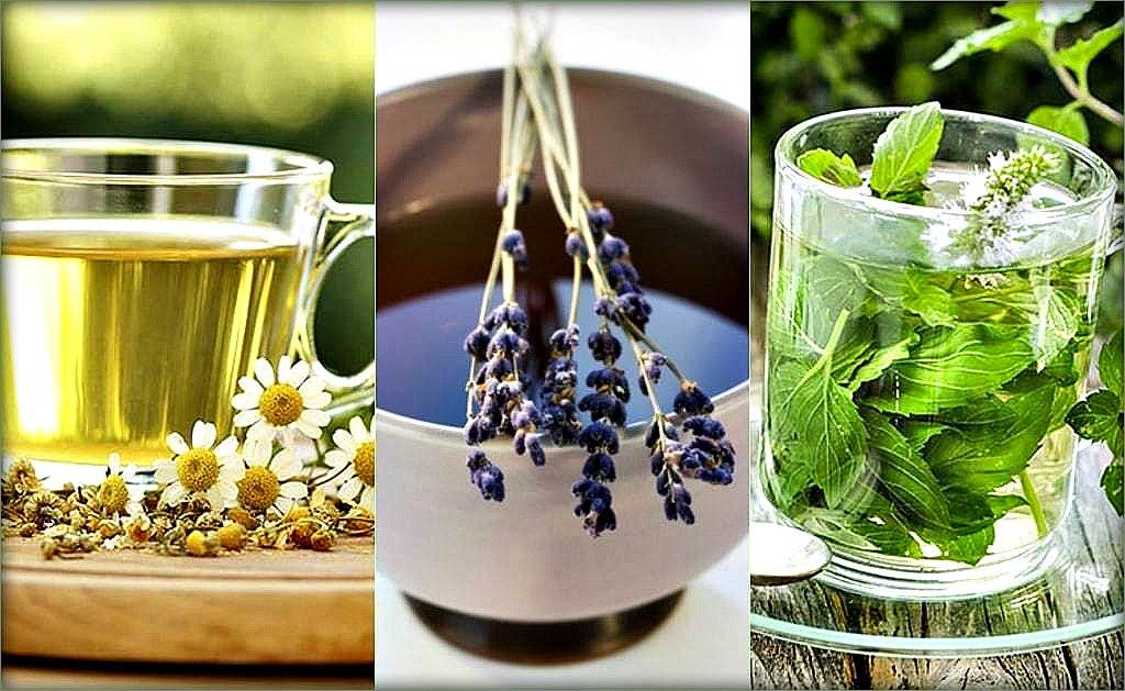 Чай с коньяком: польза и вред, рецепты для лечения простуды