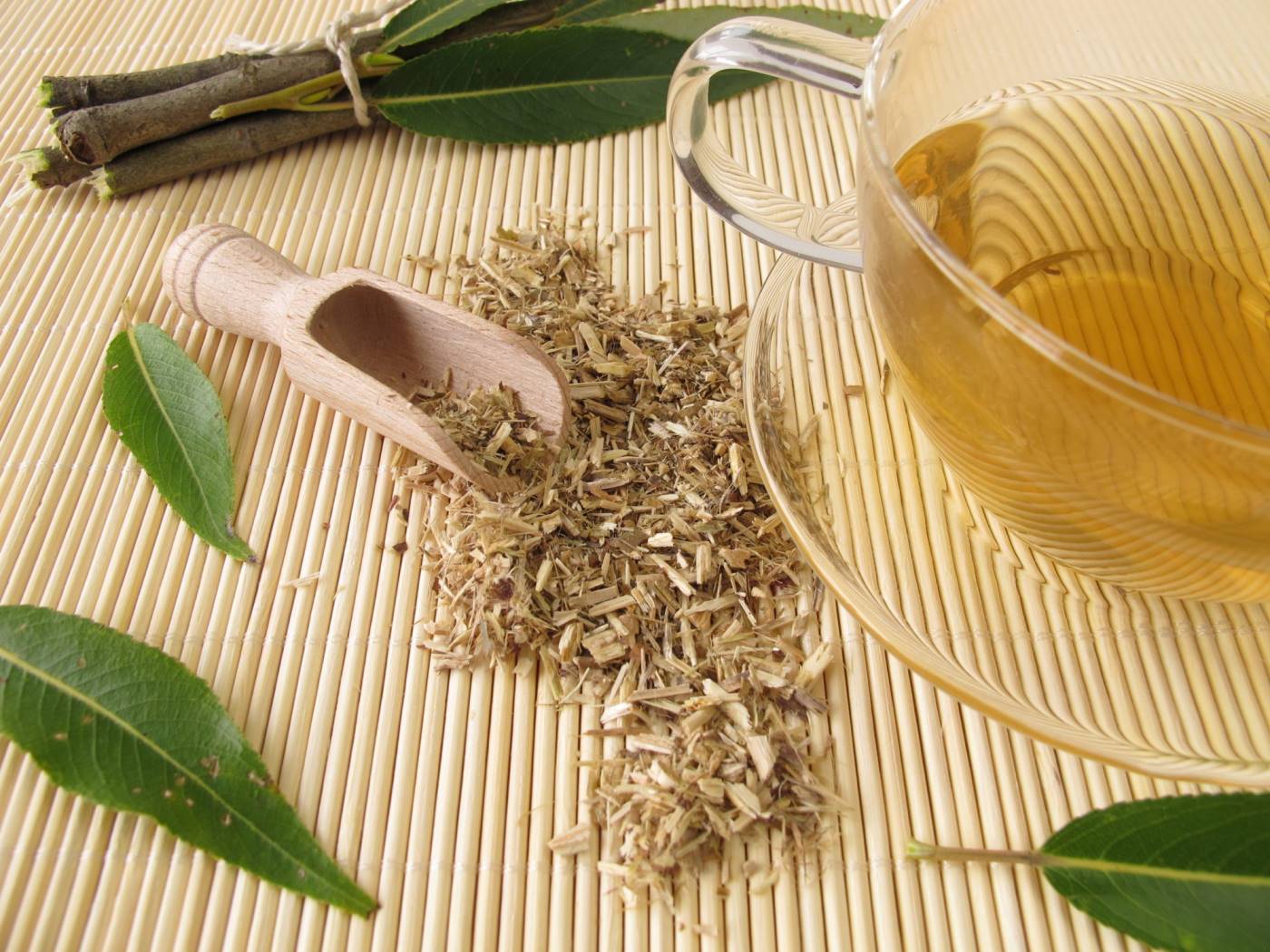Антипаразитарный чай: пропорции трав и рецепт приготовления. как принимать антипаразитарный чай? противопоказания и побочные эффекты