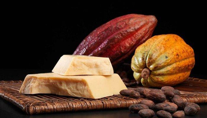 Масло какао - полезные свойства и применение