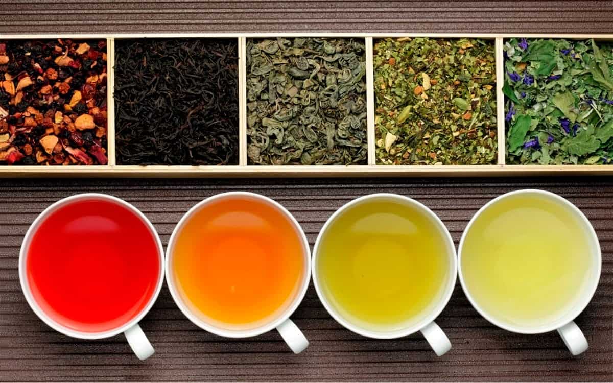 Как правильно заваривать и пить чай – классификация и виды чая от а до я