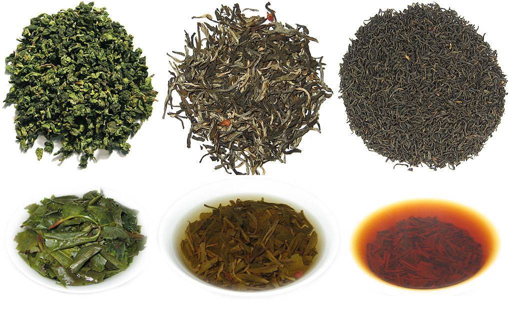 27 растений для чая. полезные свойства, особенности сбора, заготовки и приготовления