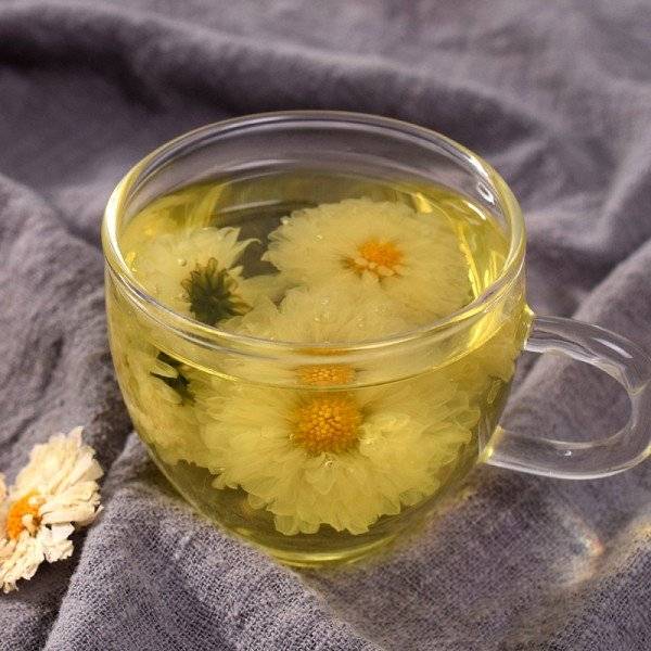 Чай из хризантемы поможет очистить организм | великий чайный путь