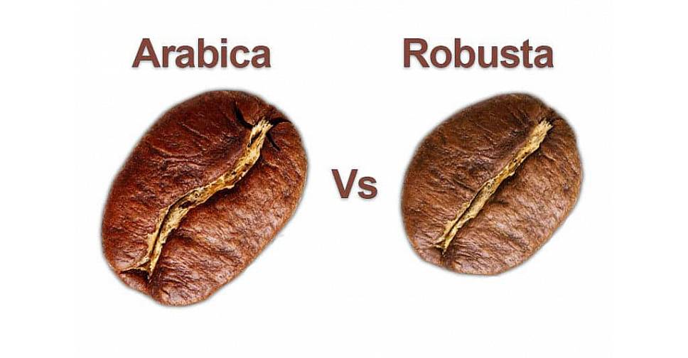 Какой сорт кофе полезнее арабика или робуста? | польза и вред