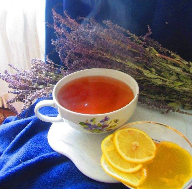 Чай с шалфеем — польза и вред для организма