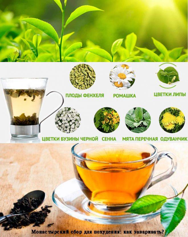 Травяные чаи для похудения: рецепты приготовления в домашних условиях