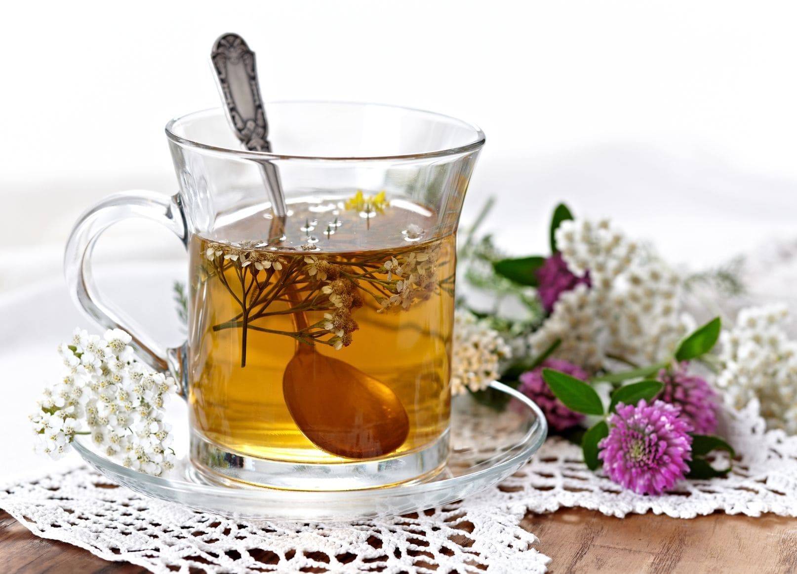 Какие травы и сборы рекомендуется использовать для похудения, рецепты чаев для похудения.