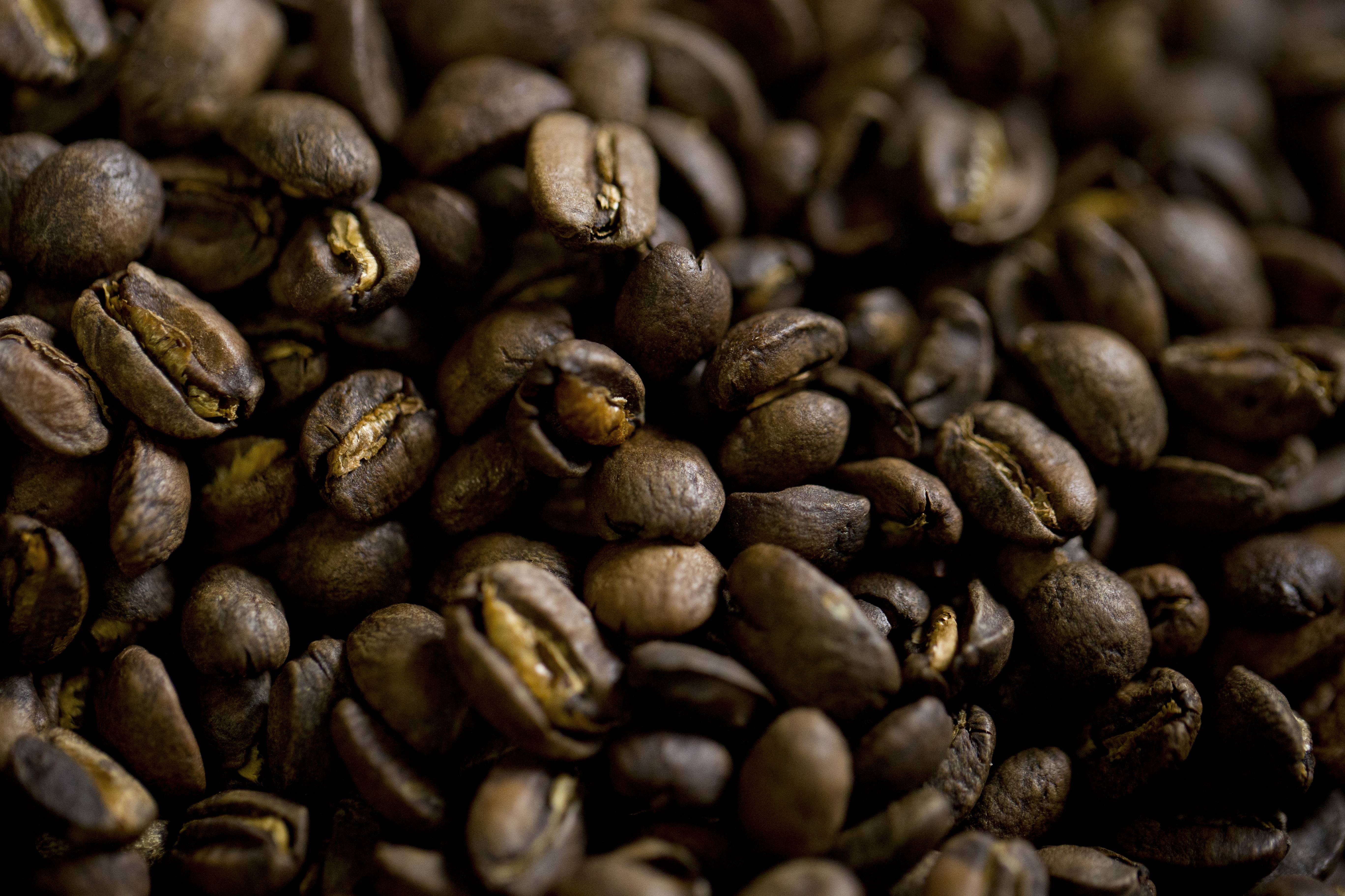 Крепость кофе: классификация, описание и виды, степень обжарки, вкусовые качества