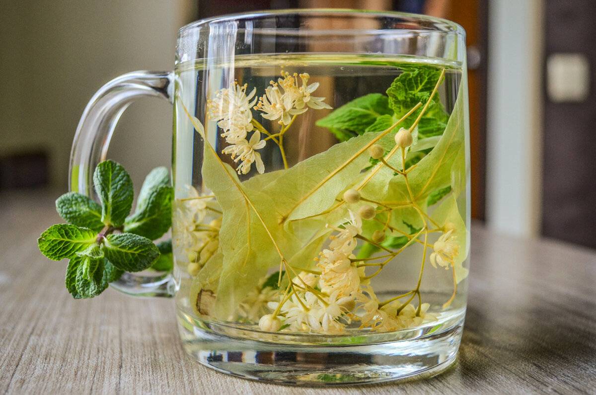 Чай с жасмином – польза и вред для здоровья
