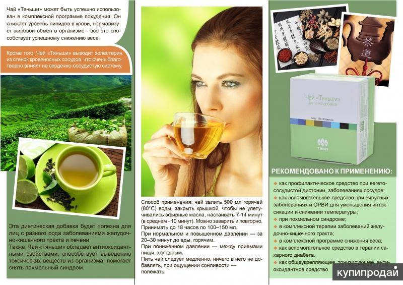 Чай тяньши для похудения — свойства и состав, инструкция по применению и противопоказания