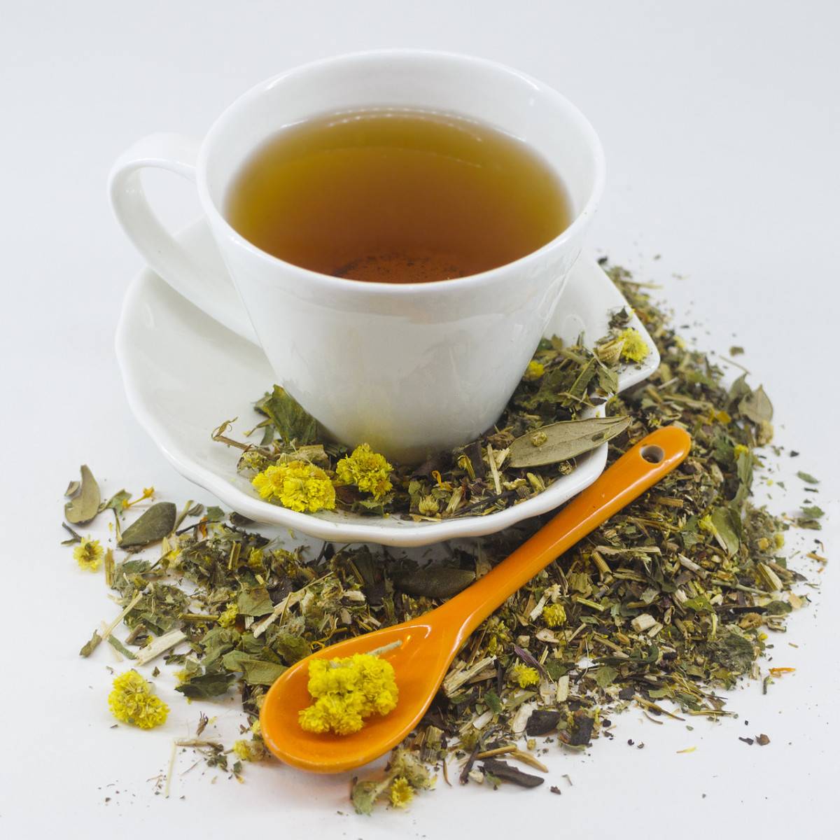Курильский чай: полезные свойства, противопоказания, польза и вред