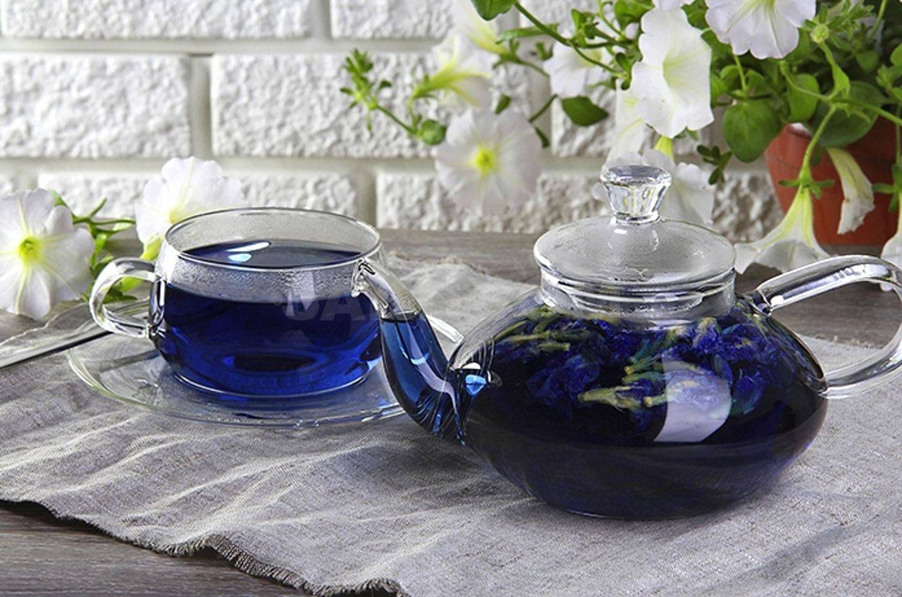 Синий чай: отзывы и полезные свойства
