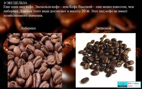Легенды о кофе. история кофе | вендинг кволити