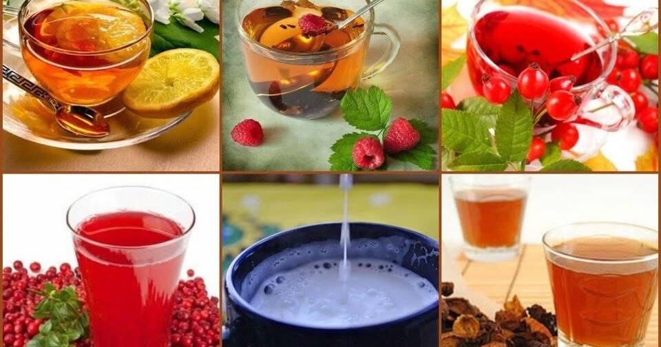 Чаи от простуды в домашних условиях: рецепты целебных травяных чаев при простуде