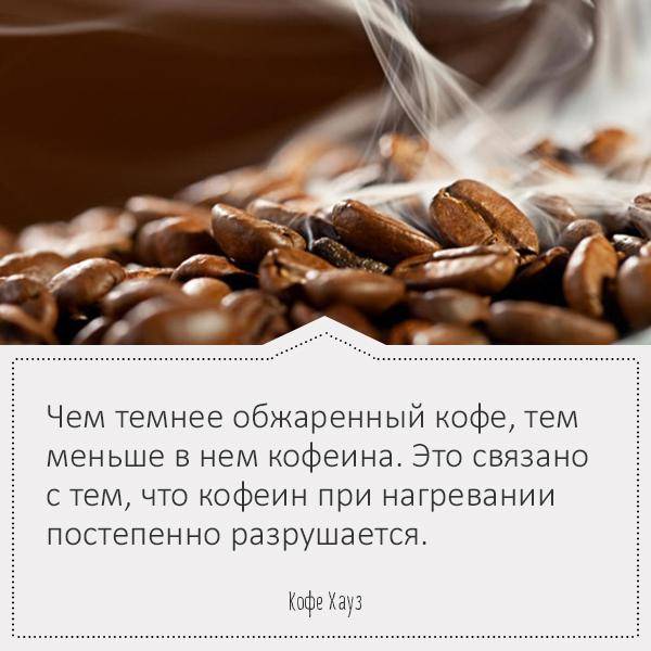 Интересные факты о кофе, полезные и вредные свойства