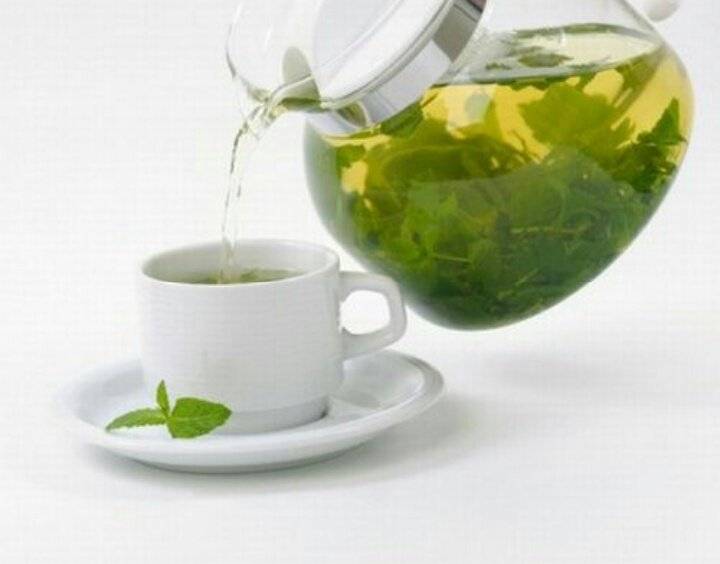 Можно ли беременным пить чай - черный, зеленый, с лимоном, мятой, мелиссой