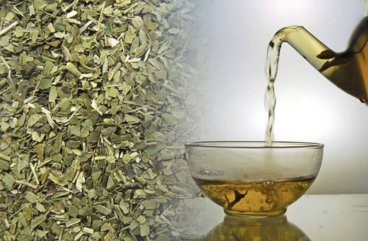 Чай матэ и его полезные свойства и противопоказания