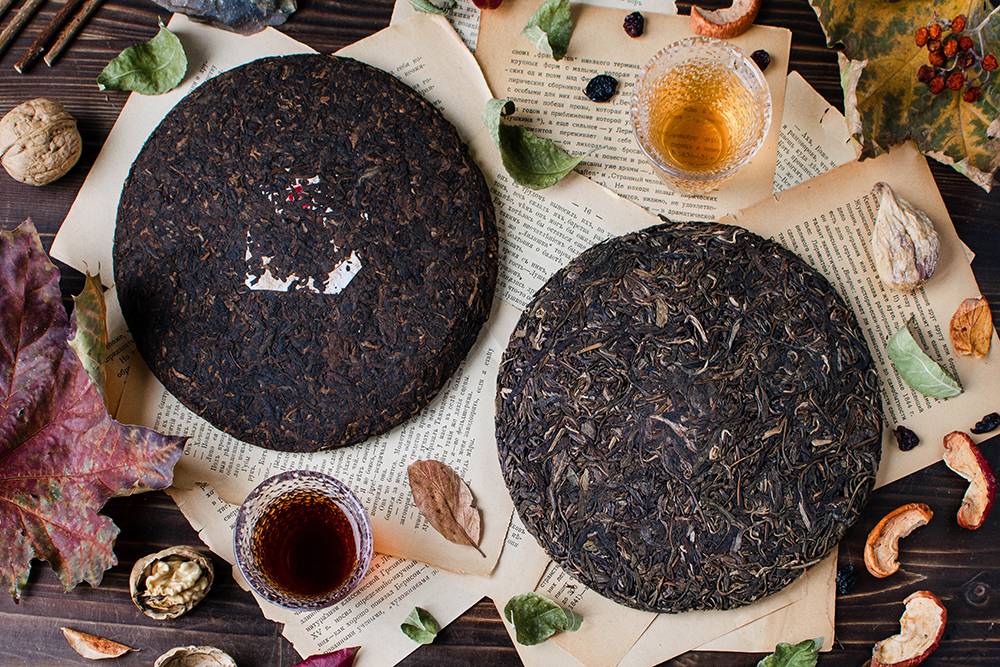 Чай пуэр: состав, сорта, полезные свойства