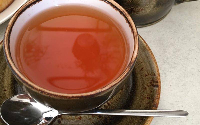 Титестер рассказала, почему нельзя пить вчерашний чай — статья на тчк