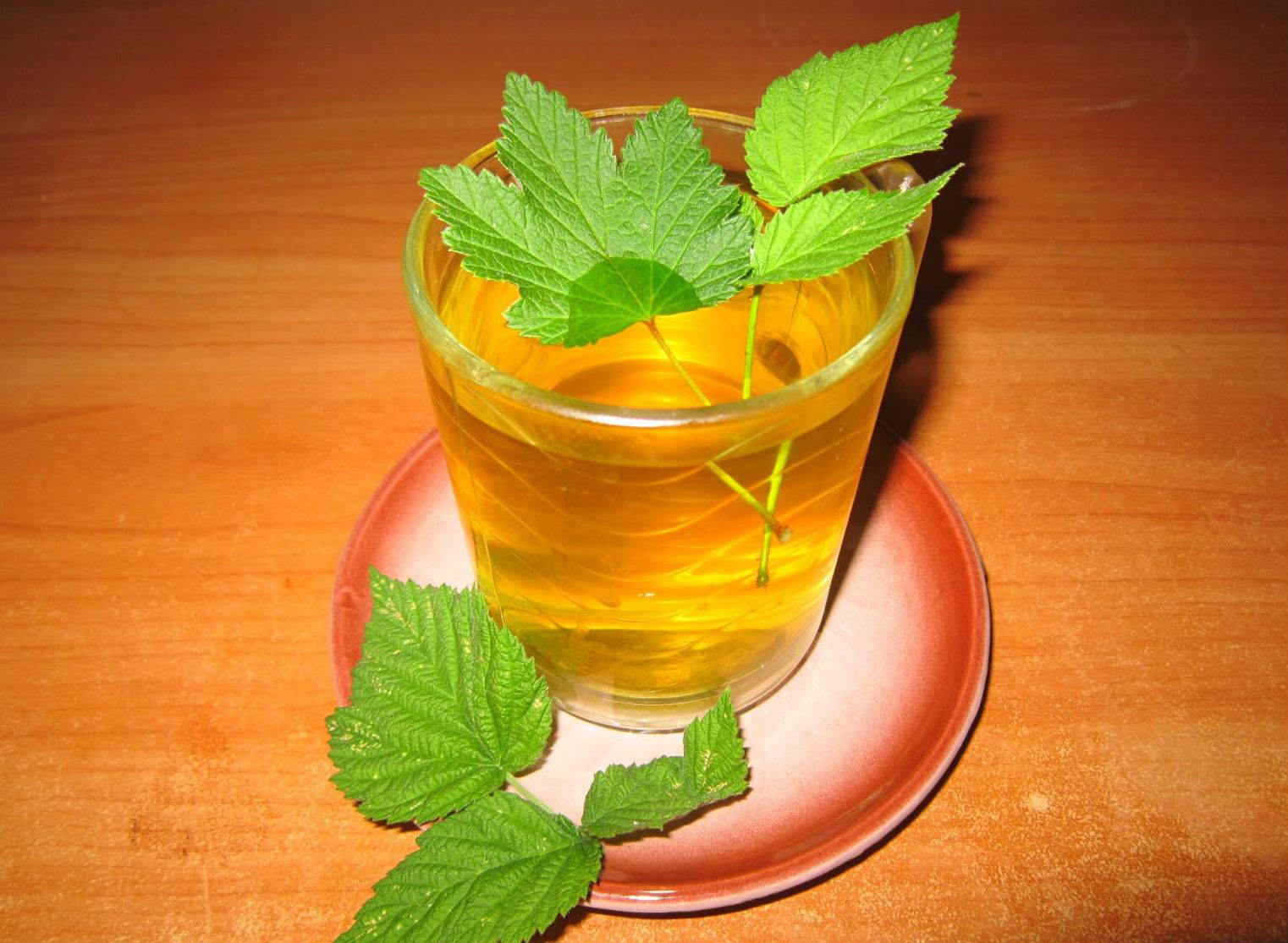 Чай из листьев малины: польза и вред, рецепты