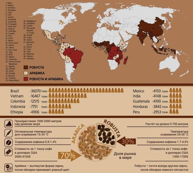Где растет кофе в мире - страны, особенности и интересные факты :: syl.ru