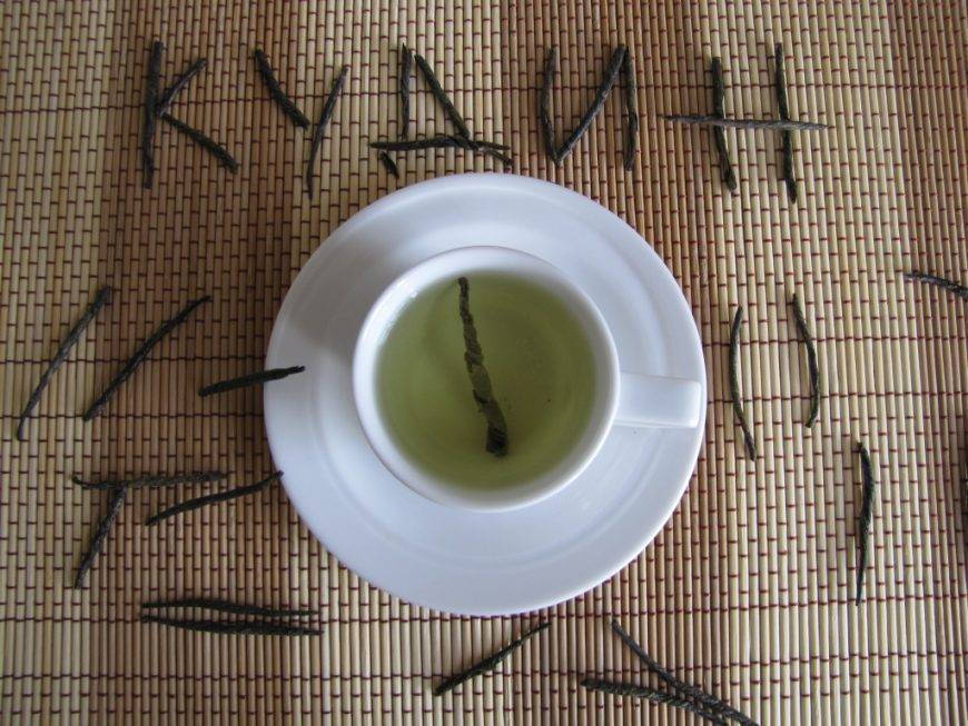 Чай «кудин»: польза и вред, советы врачей и противопоказания, как правильно заваривать и пить «горькую слезу» для похудения, отзывы