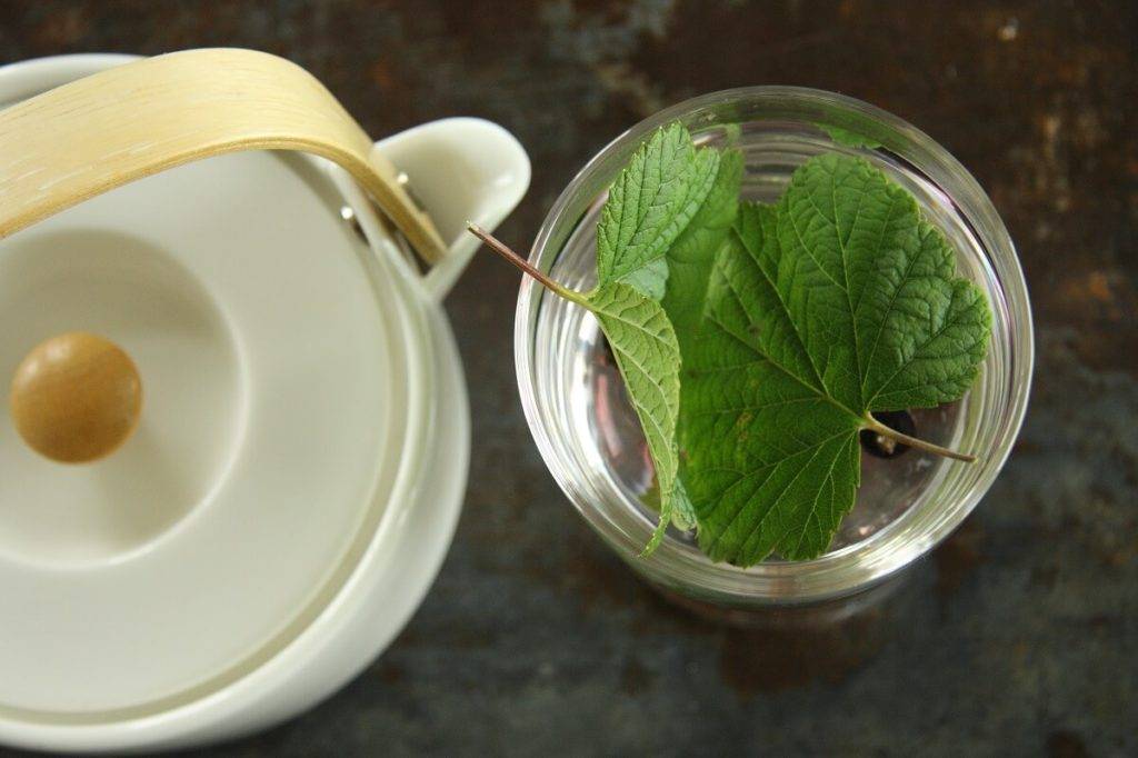 Чай из листа смородины (ферментированный): польза для организма