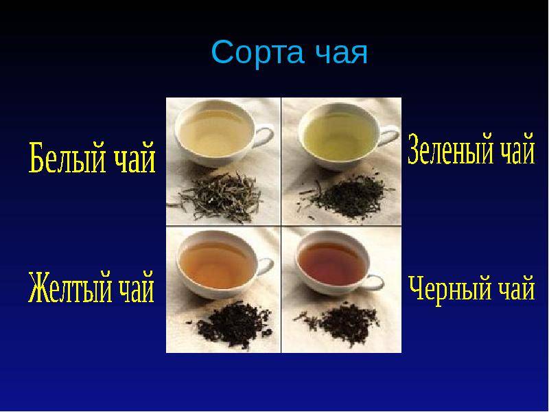 Сорта чая