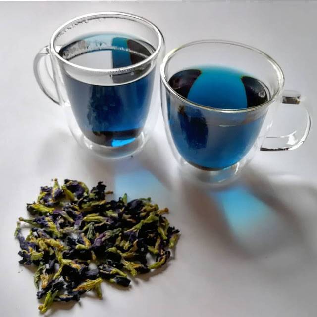 Синий чай: польза и вред, противопоказания