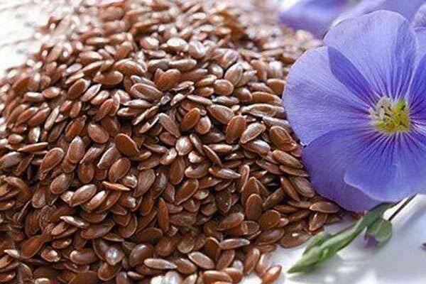 Семена льна польза и вред. применение семени льна в народной медицине | народные знания от кравченко анатолия