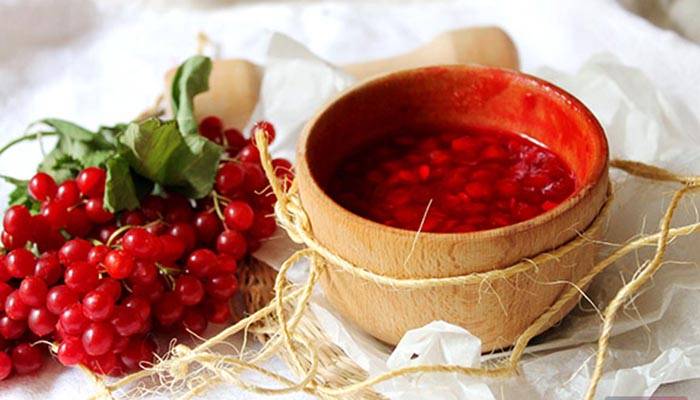 Рябина красная: полезные свойства и рецепты сохранения на зиму